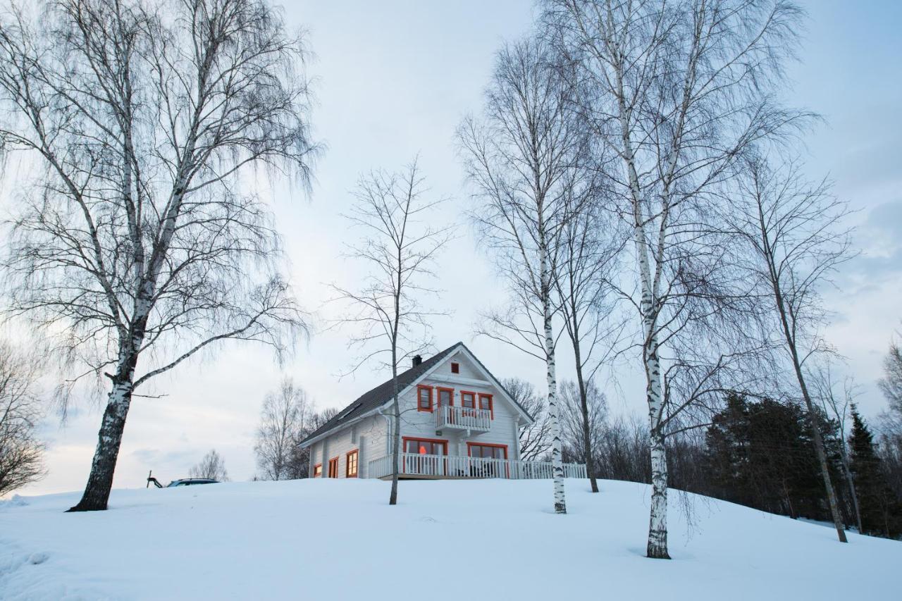 Vasekoja Holiday Center Vahtseliina Buitenkant foto