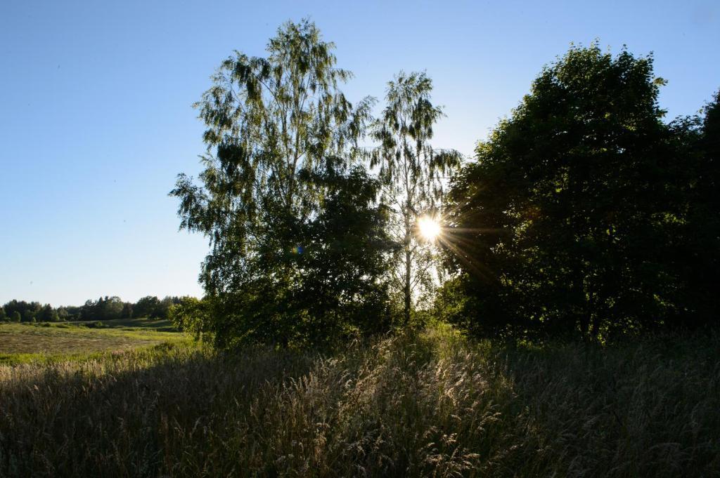 Vasekoja Holiday Center Vahtseliina Buitenkant foto